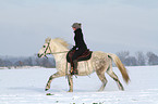 woman rides warmblood in the snow