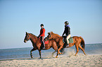 riders at the beach