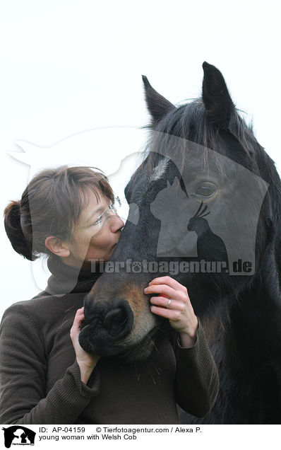 young woman with Welsh Cob / AP-04159