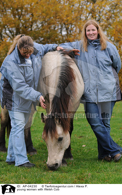 young woman with Welsh Cob / AP-04230