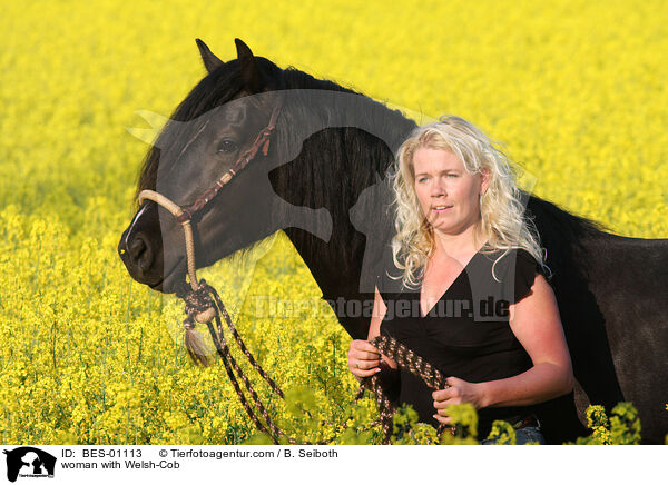 woman with Welsh-Cob / BES-01113