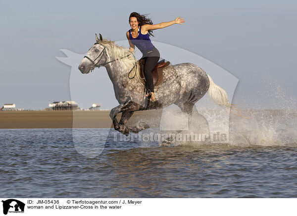 woman and Lipizzaner-Cross in the water / JM-05436