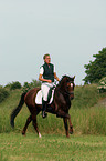 German Riding Pony stallion in dressage training