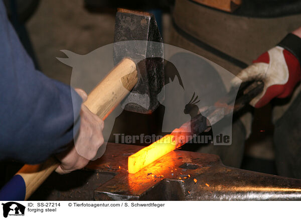 forging steel / SS-27214