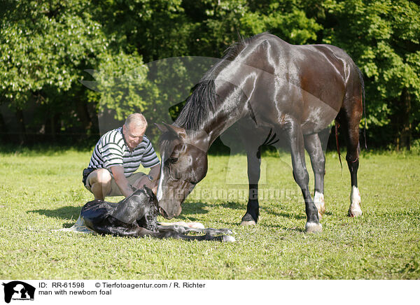 man with newborn foal / RR-61598