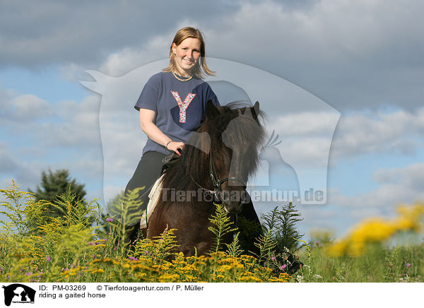 riding a gaited horse / PM-03269