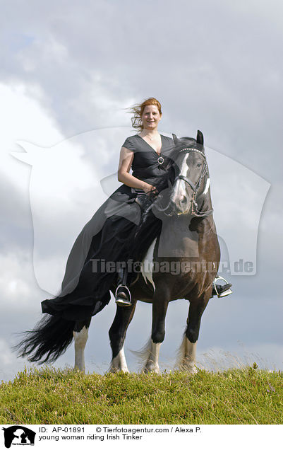 young woman riding Irish Tinker / AP-01891