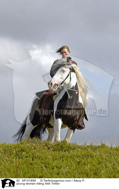 young woman riding Irish Tinker / AP-01899