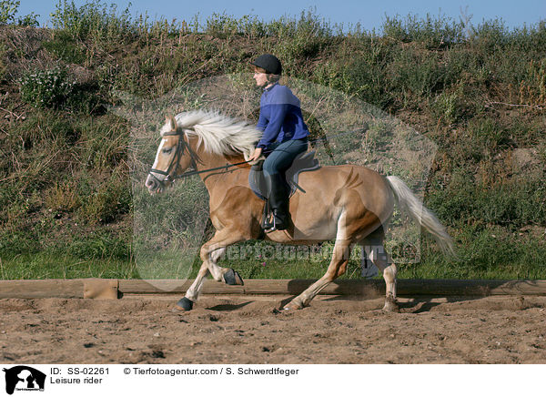 Reiterin auf einem Haflinger / Leisure rider / SS-02261
