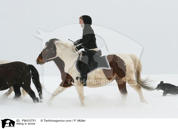 riding in snow / PM-03751