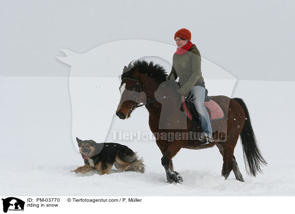 reiten im Schnee / riding in snow / PM-03770