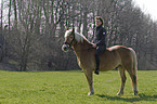 young woman with Haflinger