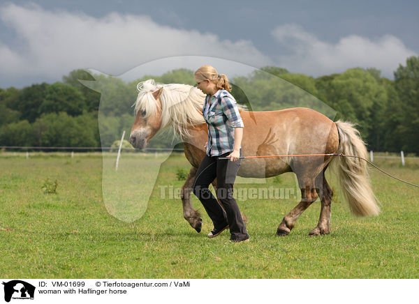 woman with Haflinger horse / VM-01699