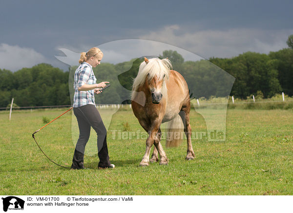 woman with Haflinger horse / VM-01700