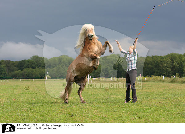 woman with Haflinger horse / VM-01701