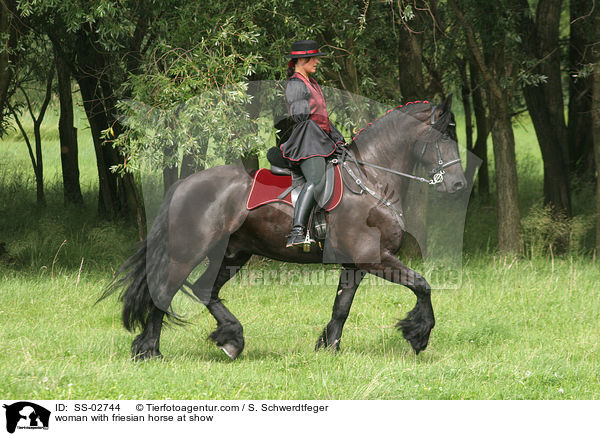woman with friesian horse at show / SS-02744