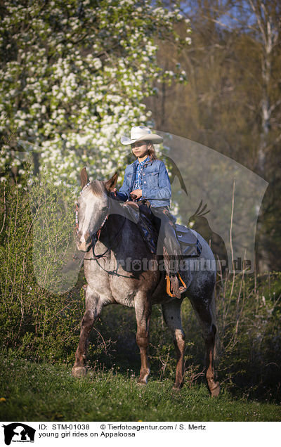 young girl rides on Appaloosa / STM-01038