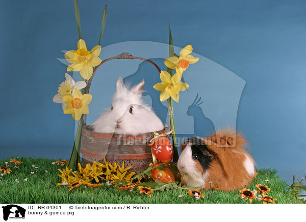 bunny & guinea pig / RR-04301