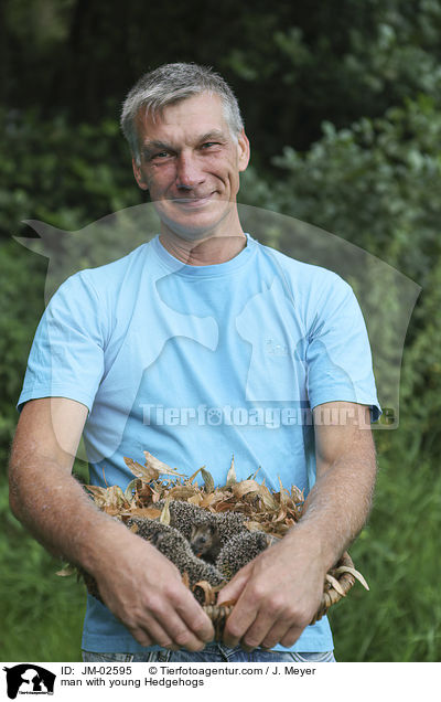 man with young Hedgehogs / JM-02595