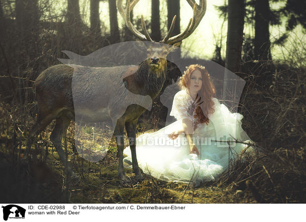 woman with Red Deer / CDE-02988